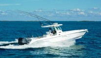 SHEAR FANTASEA - tenders